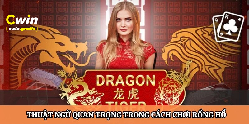 Thuật ngữ đặc biệt trong cách chơi Rồng Hổ